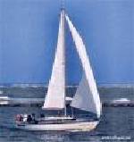 Dufour Yacht DUFOUR 3800 Occasion de 1981