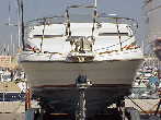 bateau BAYLINER BAYLINER 2155 BRIDGE Occasion de 1989