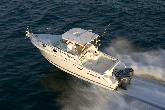 bateau WELLCRAFT 290 Coastal Occasion de 2006