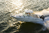 WELLCRAFT 290 Coastal Occasion de 2006