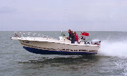 Photo Kelt WHITE SHARK 225 Occasion de 2002