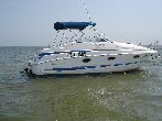 bateau CHRIS CRAFT 260 CROWN Occasion de 1997