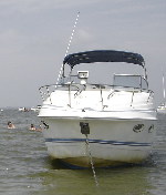 CHRIS CRAFT 260 CROWN Occasion de 1997