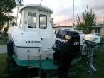 Quicksilver 500 Pilothouse Occasion de 2007