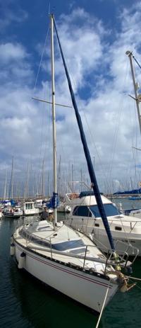 Dufour Yachts DUFOUR 4800 Occasion de 1981