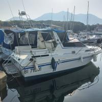 Arcoa 768 Occasion de 1987