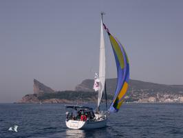 Bavaria 31 CRUISER Occasion de 2008