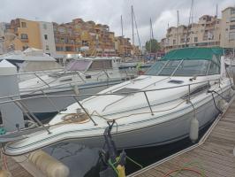 Photo SEA RAY SEA RAY 270 Occasion de 1991