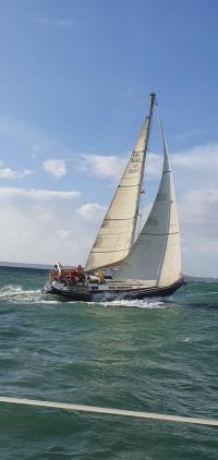 Photo DUFOUR 39 German Frers Occasion de 1977