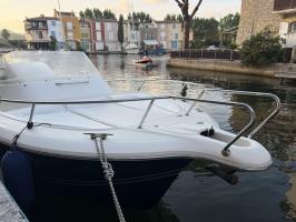 Photo Kelt Marine white shark 248 Occasion de 2008