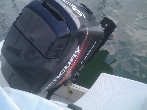 BAYLINER 552 Occasion de 2004