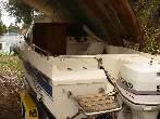 NEPTUNE Day Cruiser 5.40 Occasion de 1989