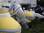 CARIBE Avantage 5.30 Occasion de 2010