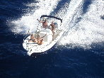 Photo Kelt WHITE SHARK 225 Occasion de 2006
