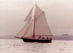 bateau NEW ARCHER ONE COTRE NORVEGIEN Occasion de 1981