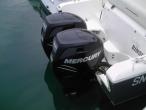 Kelt White Shark 248 Occasion de 2010