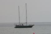 bateau Semi amateur Plan Joubert Acier 15m Occasion de 2008