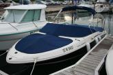 SEA RAY 205 SPORT Occasion de 2008