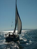 Kelt KELT850Q Occasion de 1984