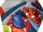 ARKOS DOLPHIN 21 Occasion de 2006