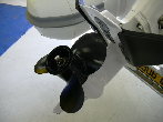 CARIBE T12 Occasion de 2006