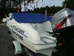 Quicksilver 5.50 Occasion de 1998
