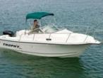 BAYLINER Trophy 2102 WA Occasion de 2012