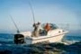 BAYLINER Trophy 2102 WA Occasion de 2012