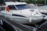 Rio Rio 800 Cabin Fish Occasion de 2002