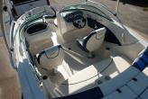 SEA RAY 195 Sport Wake Occasion de 2010