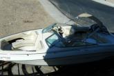 SEA RAY Bowrider 260 26' Occasion de 1996