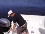 Marine Compositi MLS Storia 2 + mariner 50  4 temps Occasion de 2001